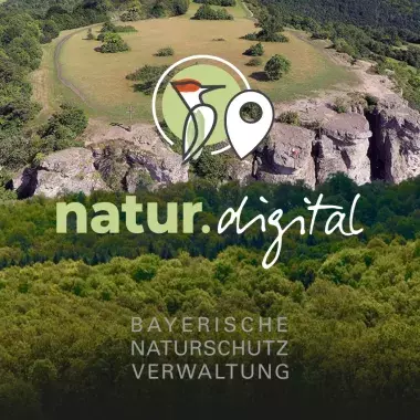 natur.digital